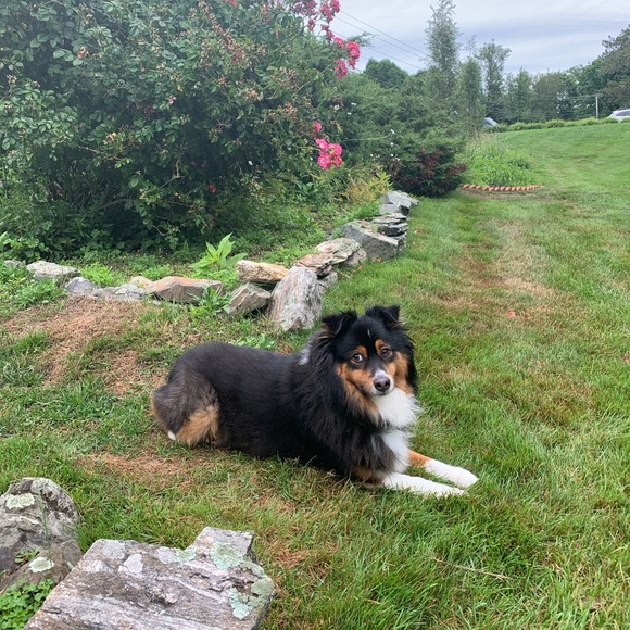 Meet the Posher, Haley!π - Picture 2 of 4